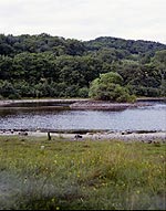 loch-awe-4-1-s.jpg - 9855 Bytes